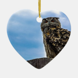 Ornamento De Cerâmica Pássaro Coruja Penas Animal Nature Destino Paz Amo