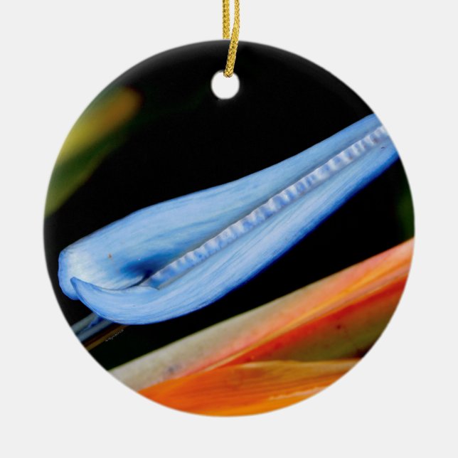 Ornamento De Cerâmica Pássaro da Foto do Paraíso (Frente)