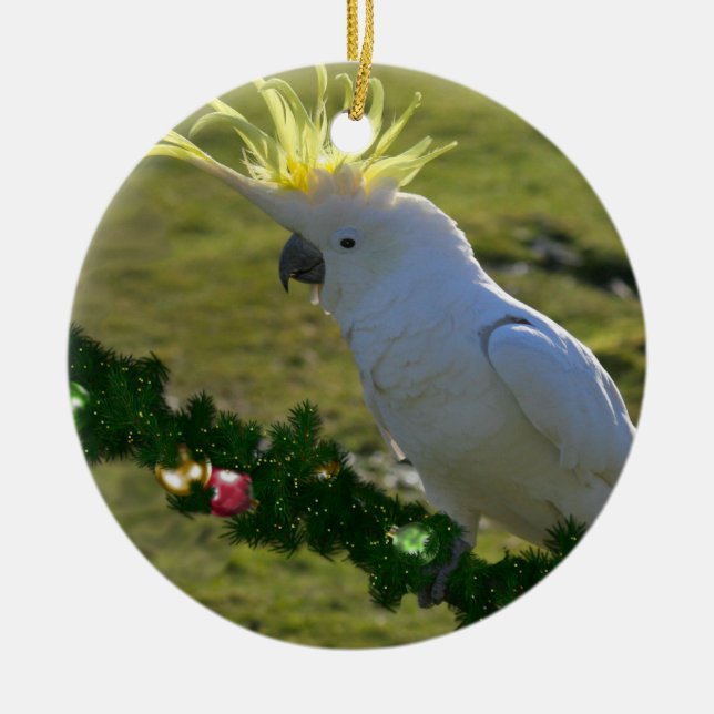 Ornamento De Cerâmica Pássaro de Cockatoo de Natal na Austrália (Frente)