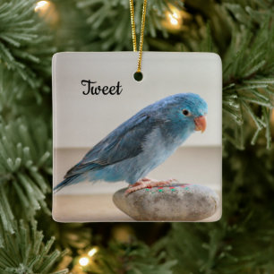 Ornamento De Cerâmica Pássaro do Parrotlet Azul Personalizado
