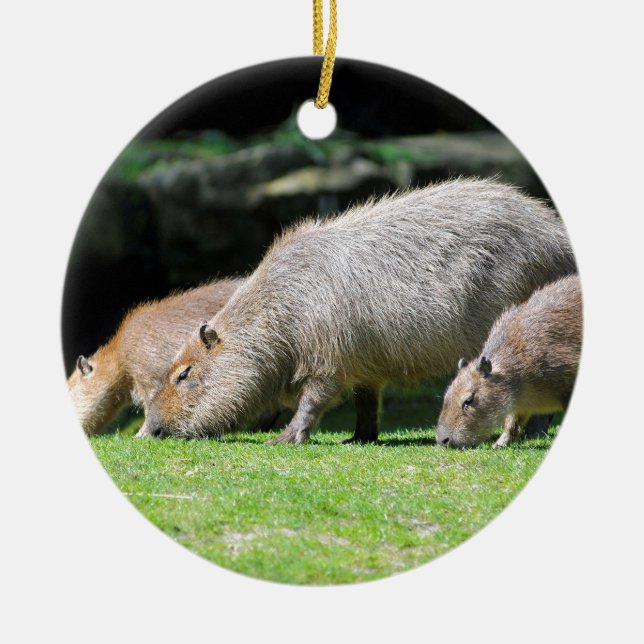 Ornamento De Cerâmica Pastagem de Capybaras (Frente)