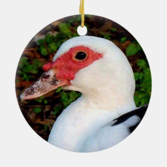 Ornamento De Cerâmica Pato Muscovy Negro e Branco (Traseira)