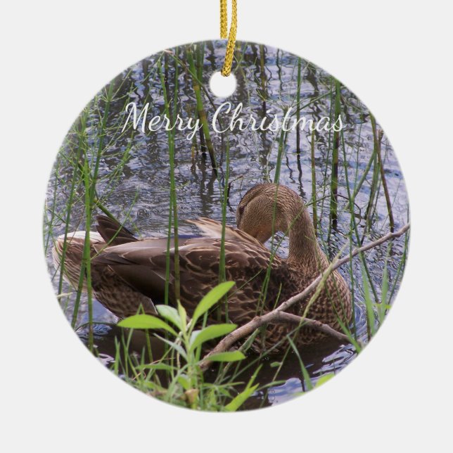 Ornamento De Cerâmica Pato Preening nos Leeds (Frente)