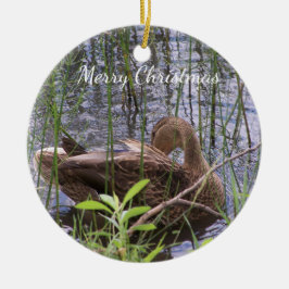 Ornamento De Cerâmica Pato se ajeitando entre os juncos