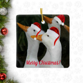 Ornamento De Cerâmica Patos Brancos Vestindo Feriado de Papai Noel