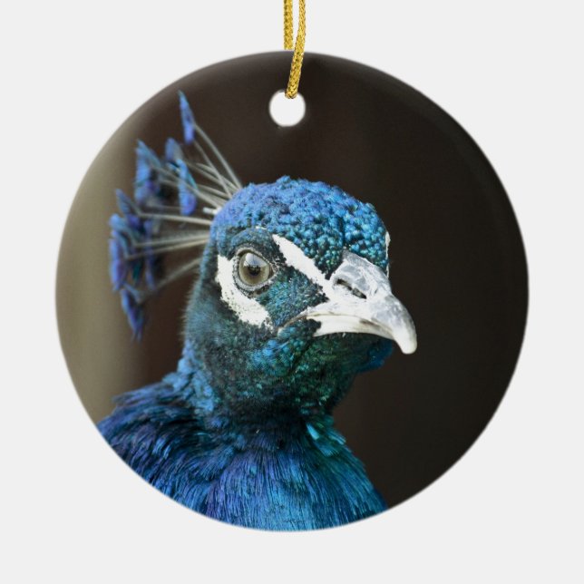Ornamento De Cerâmica pavão (Frente)