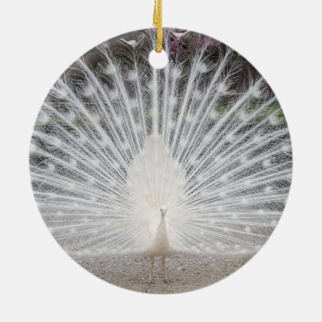 Ornamento De Cerâmica pavão branco (Traseira)