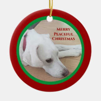Ornamento De Cerâmica Pavão branco pacífico Natal vermelho