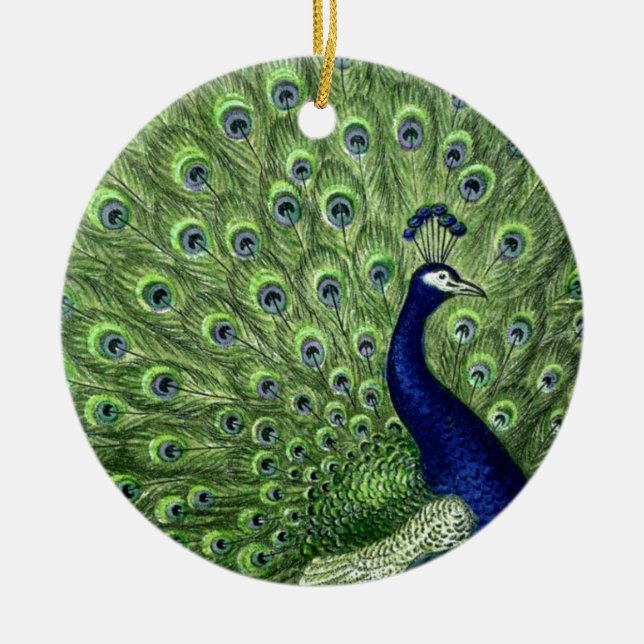 Ornamento De Cerâmica Peacock bonito (Frente)