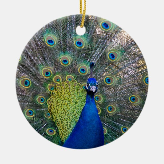 Ornamento De Cerâmica Peacock Christmas (Frente)