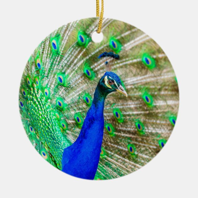 Ornamento De Cerâmica Peacock Plumage (Frente)