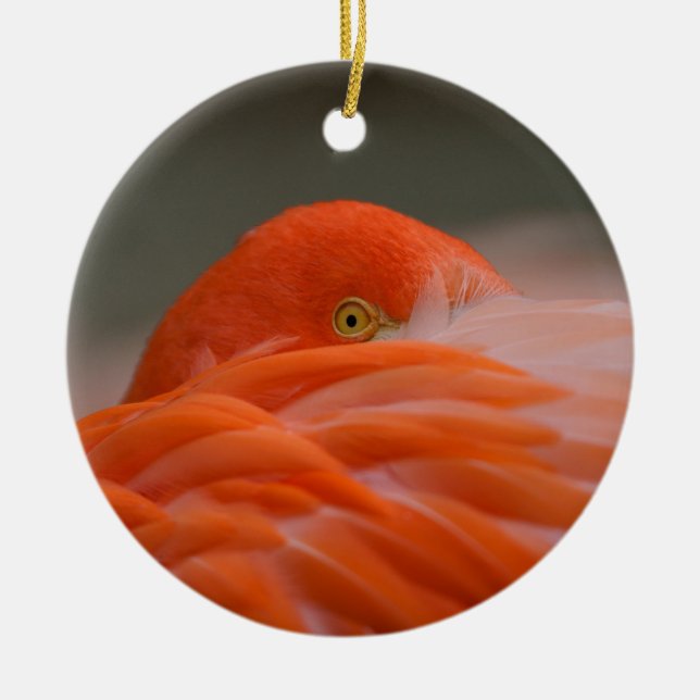 Ornamento De Cerâmica Peeking Flamingo (Frente)