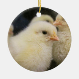 Ornamento De Cerâmica Peeps