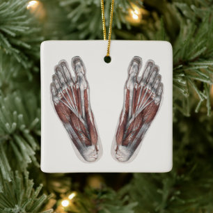 Ornamento De Cerâmica Pegada de anatomia humana vintage podologia pés