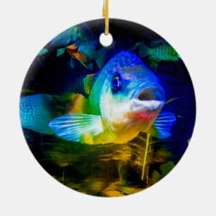 Ornamento De Cerâmica Peixe curioso