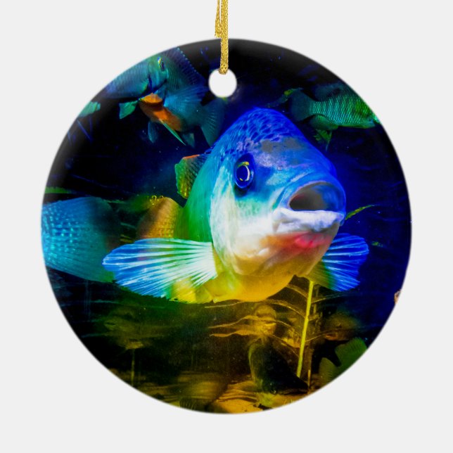 Ornamento De Cerâmica Peixe curioso (Traseira)