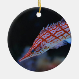 Ornamento De Cerâmica Peixe-Falcão Vermelho