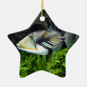 Ornamento De Cerâmica Peixes de mar profundo