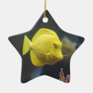 Ornamento De Cerâmica Peixes de Tang