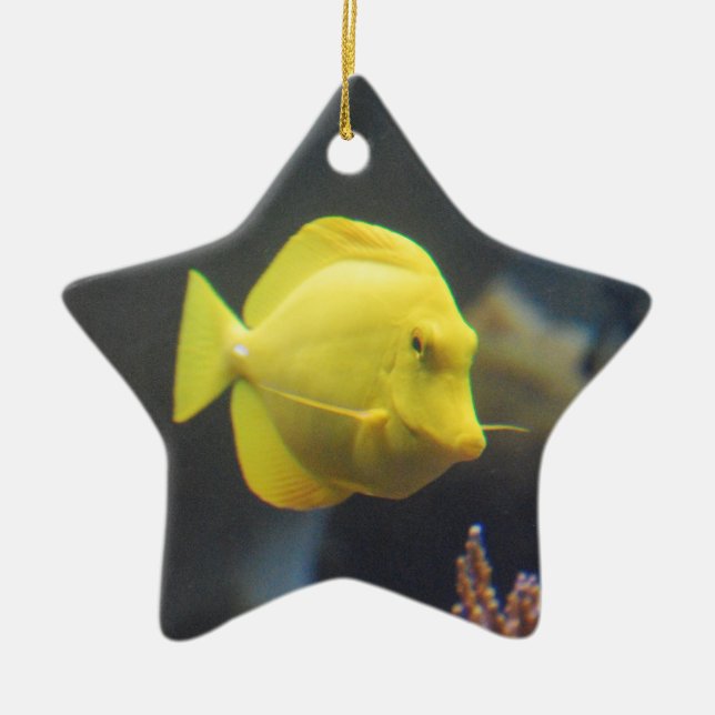 Ornamento De Cerâmica Peixes de Tang (Frente)