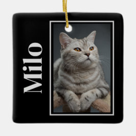 Ornamento De Cerâmica Pela Ponte Do Arco-Íris Silver Pet Cat Memorial
