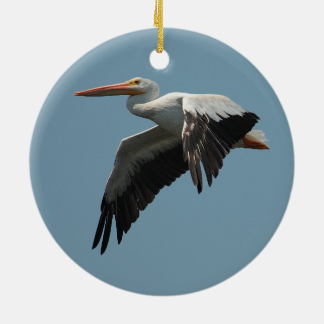 Ornamento De Cerâmica Pelican voador 5 (Traseira)