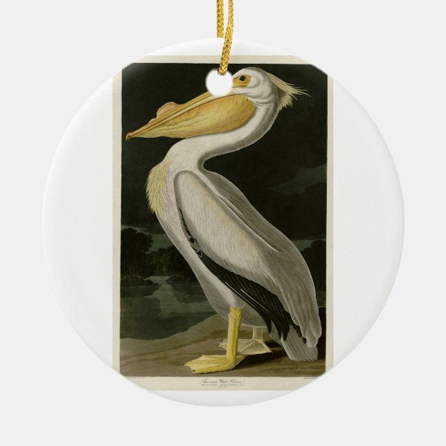 Ornamento De Cerâmica Pelicano Branco Americano, Aves da América de Audu (Frente)