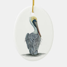 Pelicano castanho pintado detalhado