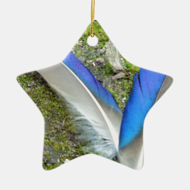 Ornamento De Cerâmica Penas de Pato Branco Azul, Animal, Pássaro (Frente)