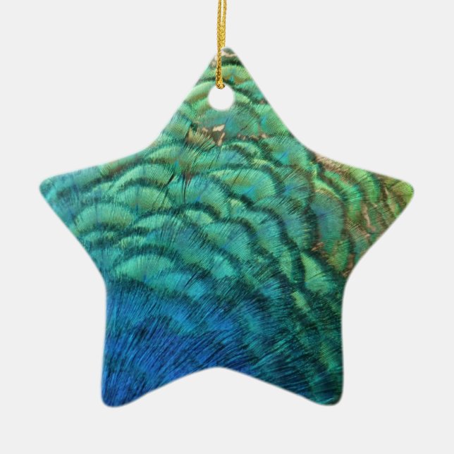 Ornamento De Cerâmica Penas de Peacock I Abstrato (Frente)