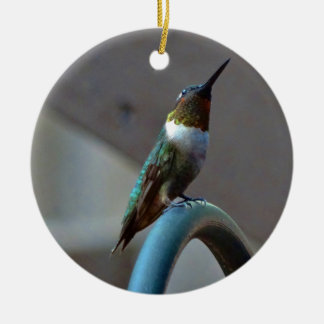 Ornamento De Cerâmica Pequeno beija-flor