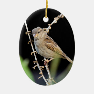 Ornamento De Cerâmica Pequeno e Bonito Sparrow