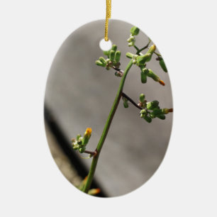 Ornamento De Cerâmica Pequeno Inseto, Pequena Flor