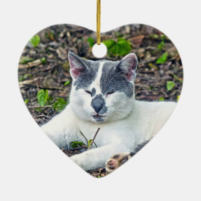 Ornamento De Cerâmica Pequeno Mister Pants (Verso)