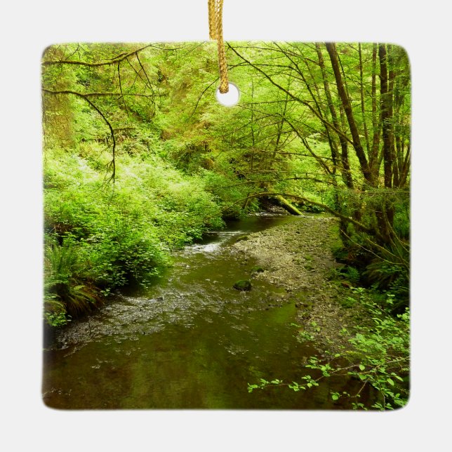 Ornamento De Cerâmica Perdido Homem Creek I no Parque Nacional de Redwoo (Frente)