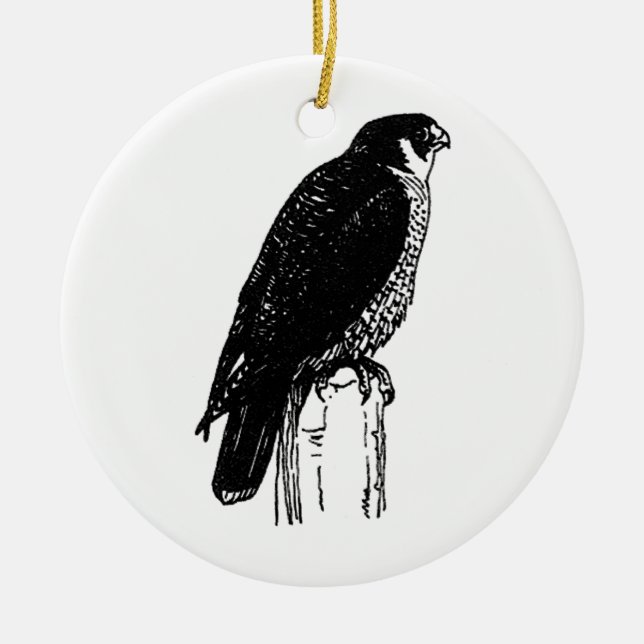Ornamento De Cerâmica Peregrine Falcon (ilustração) (Frente)