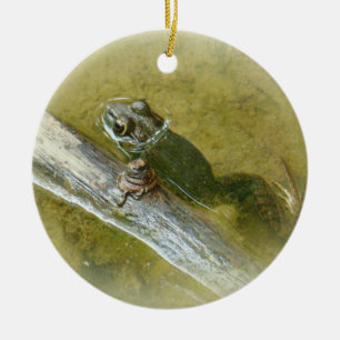 Ornamento De Cerâmica Perereca Americana - Rana catesbeiana