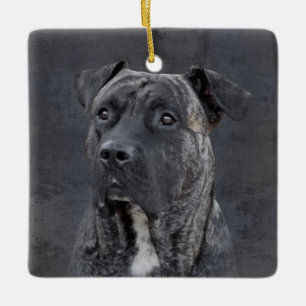 Ornamento De Cerâmica Perro de Presa Canario - Dogo Canario