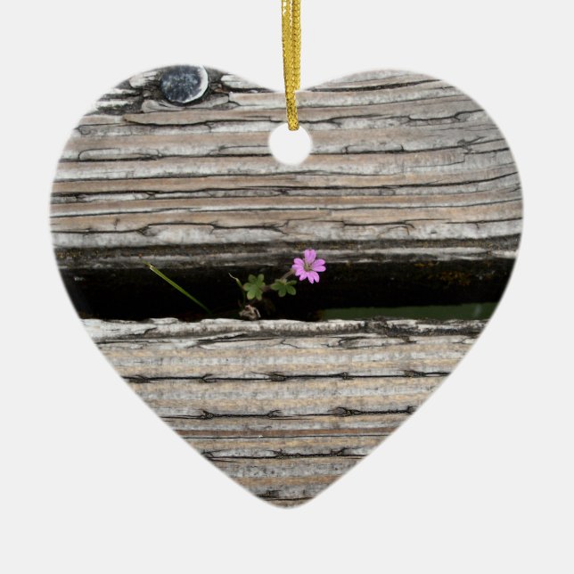 Ornamento De Cerâmica Perseverence (Frente)