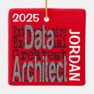 Ornamento De Cerâmica PERSONALIDADE Extraordinária do Data Architect