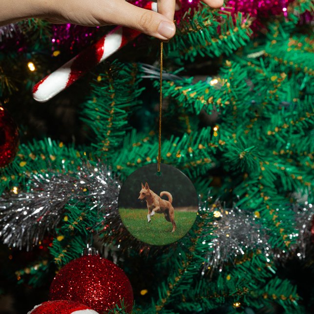 Ornamento De Cerâmica Personalização personalizada do memorial de gatos- (Criador carregado)