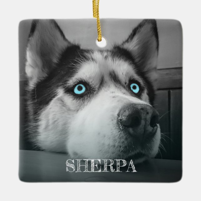 Ornamento De Cerâmica Personalizadas Fotografias do Cão 2 (Frente)