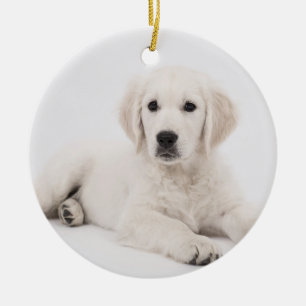 Ornamento De Cerâmica personalizado com memorial de fotopete