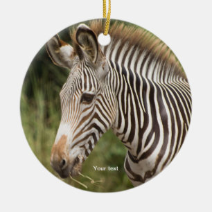 Ornamento De Cerâmica Personalizar Juvenil Zebra