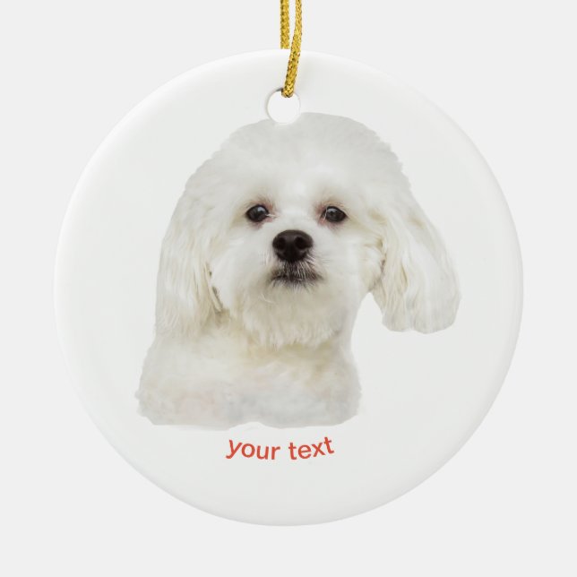 Ornamento De Cerâmica Personalizar o cachorrinho Maltês branco (Frente)
