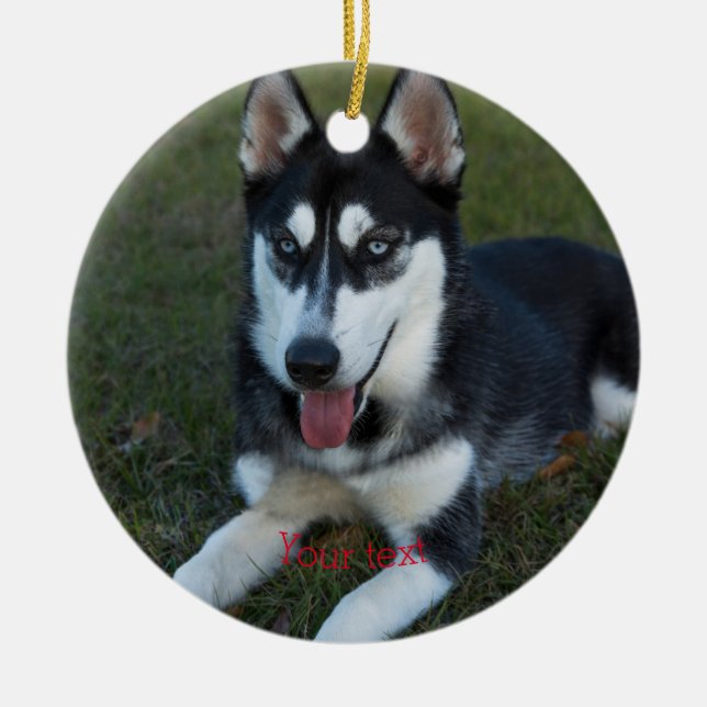 Ornamento De Cerâmica Personalizar o filhote de Husky siberiano (Frente)
