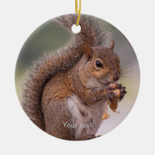 Ornamento De Cerâmica Personalize o esquilo fofo comendo uma fotografia 