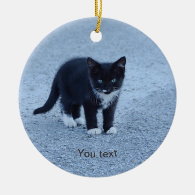 Ornamento De Cerâmica Personalize o gatinho Tuxedo preto e branco (Frente)