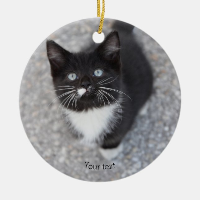 Ornamento De Cerâmica Personalize o gato preto e branco Tuxedo (Frente)