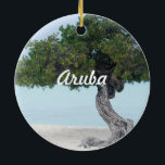 Ornamento De Cerâmica Personalize o produto<br><div class="desc">Árvore icónica do divi do divi em Aruba.</div>